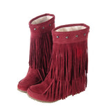 thanksgiving outfit Joskaa Women's 2 Layer Fringe Tassels Flat heel Half knee high Boots fur Shoes Big Size 34-47 Snow Boots Zapotos