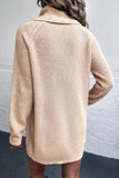 Joskaa Turtleneck Sweater Dress with Pockets