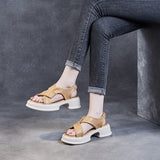 Joskaa 2024 New Women Platform Chunky Sandals