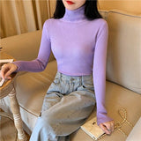 Joskaa Women's Sweaters Autumn Winter Turtleneck Long Sleeve Casual Knitted Jumper Fashion Slim Elasticity Pullover Sweater Female 2024