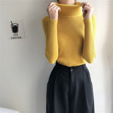 Joskaa Stretch Turtleneck Sweaters Women Pullover New Clothes Women Fashion 2024 Spring Solid Knit Sweaters Korean Top Striped Shirt