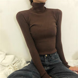 Joskaa Stretch Turtleneck Sweaters Women Pullover New Clothes Women Fashion 2024 Spring Solid Knit Sweaters Korean Top Striped Shirt