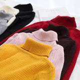 Joskaa Christmas Gift H.SA 2024 Women Turtleneck Sweater Basic Casual Solid Knit Jumper Korean Sweater Slim Pull Femme Top Elasticity Winter Pullovers