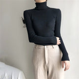 Joskaa Stretch Turtleneck Sweaters Women Pullover New Clothes Women Fashion 2024 Spring Solid Knit Sweaters Korean Top Striped Shirt