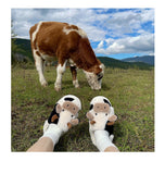 Joskaa Thick Cotton Warm Home Slippers Women's Winter Anti-Skid Thick Bottom Plush Indoor Household Shoes Lovely Cow Animal Slipper